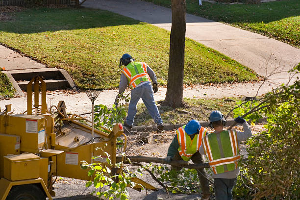 Lawn Watering Services in Brighton, MI